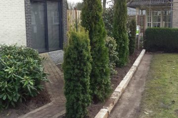 Tuin renovatie
