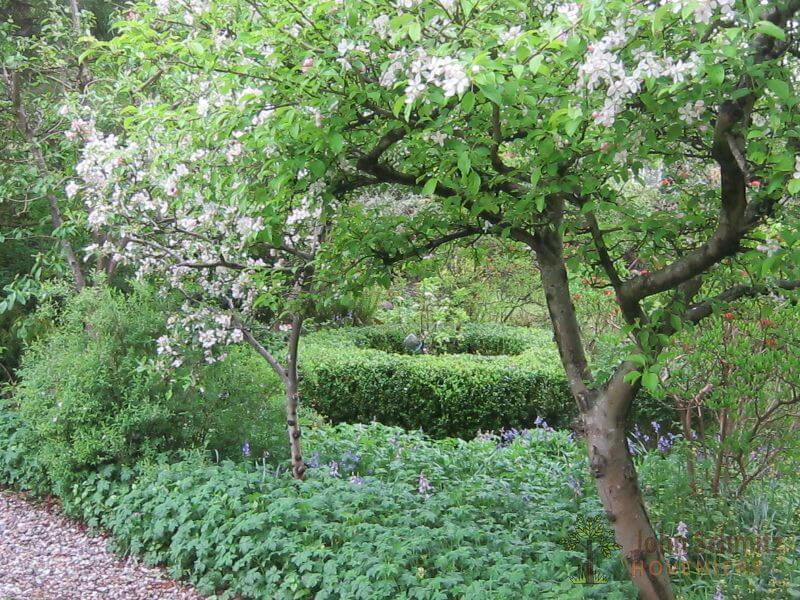 tuin_groningen_004