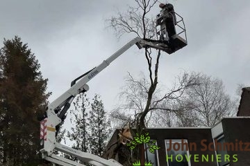 John Schmitz Hoveniers Boom snoeien met hoogwerker k