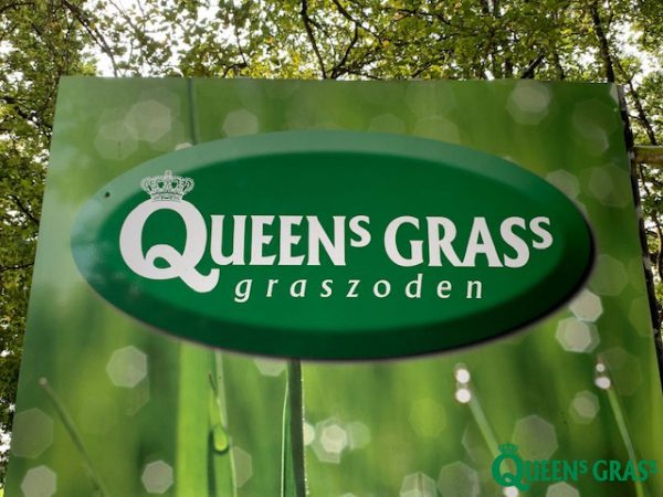 John Schmitz Hoveniers Assen - Queens Grass